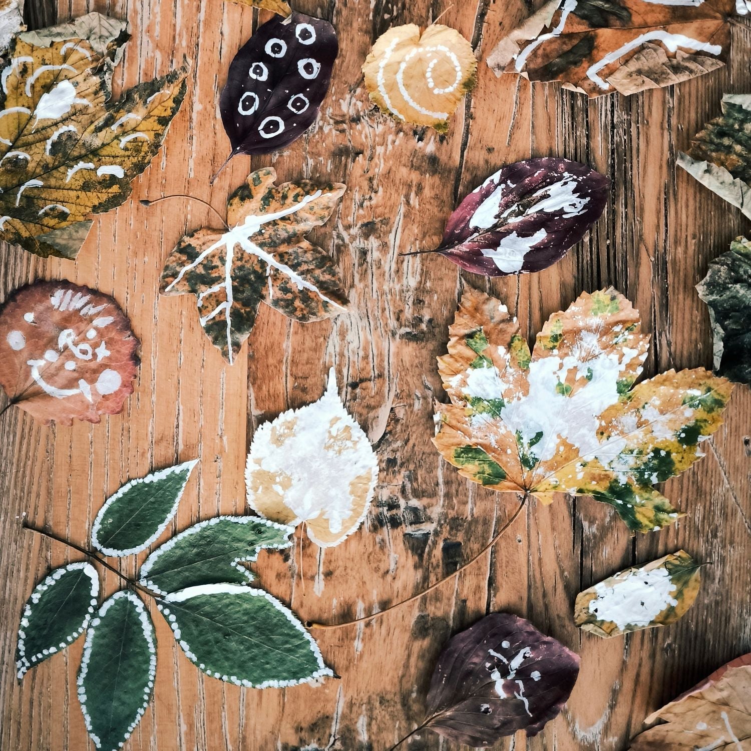 Getrocknete Blätter mit Kreidestiften bemalen