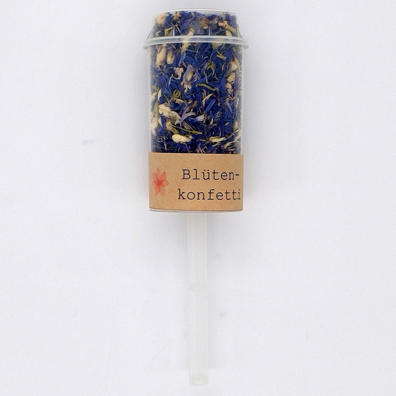 Konfetti-Popper-Blue Ivory-Blume