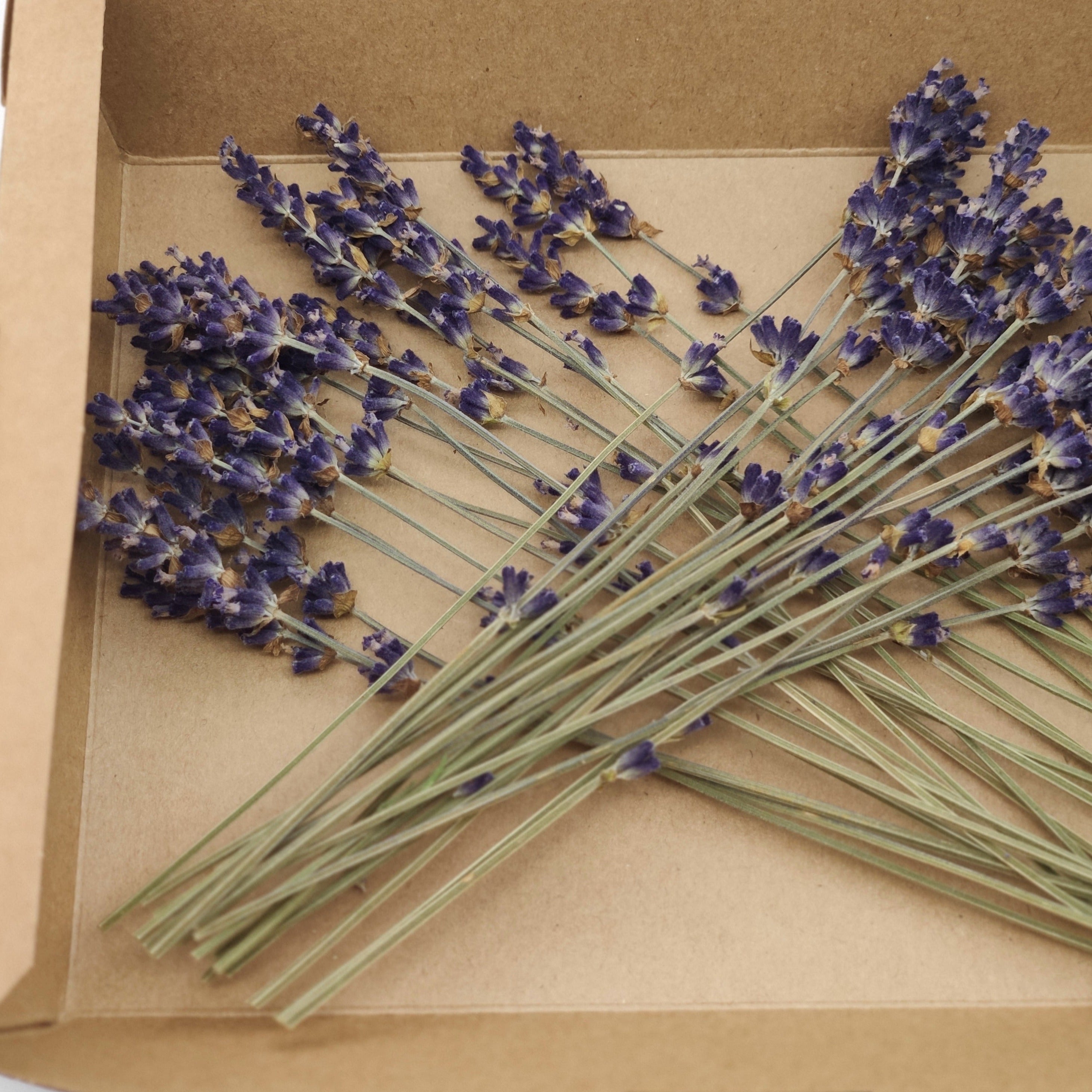 Lavendel Stiele in einer Box aus Kraftpapier