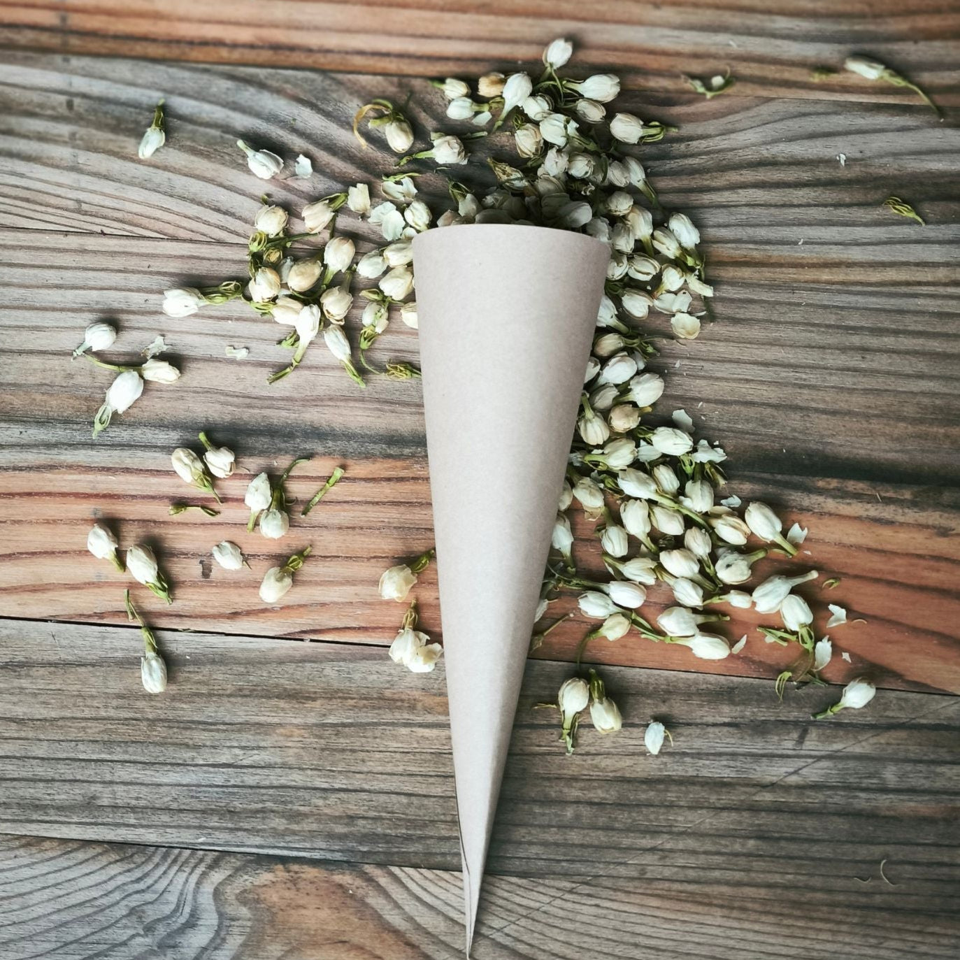 Blütenkonfetti Ivory Jasmin mit Cones
