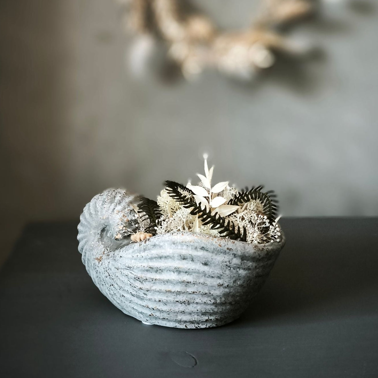 Ocean Nest Betongefäß in Muschelform mit Trockenblumen Titelbild