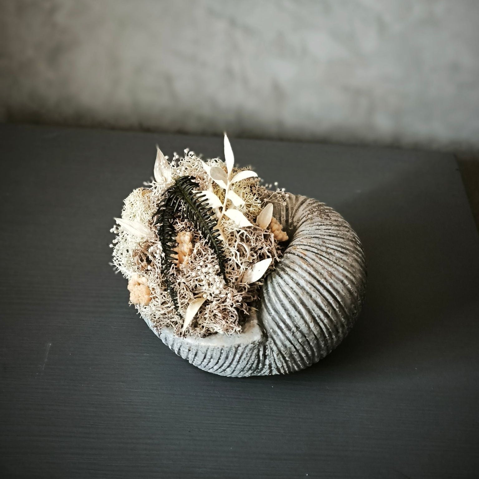 Shell Whisper Betongefäß in Muschelform mit Trockenblumen Detailbild