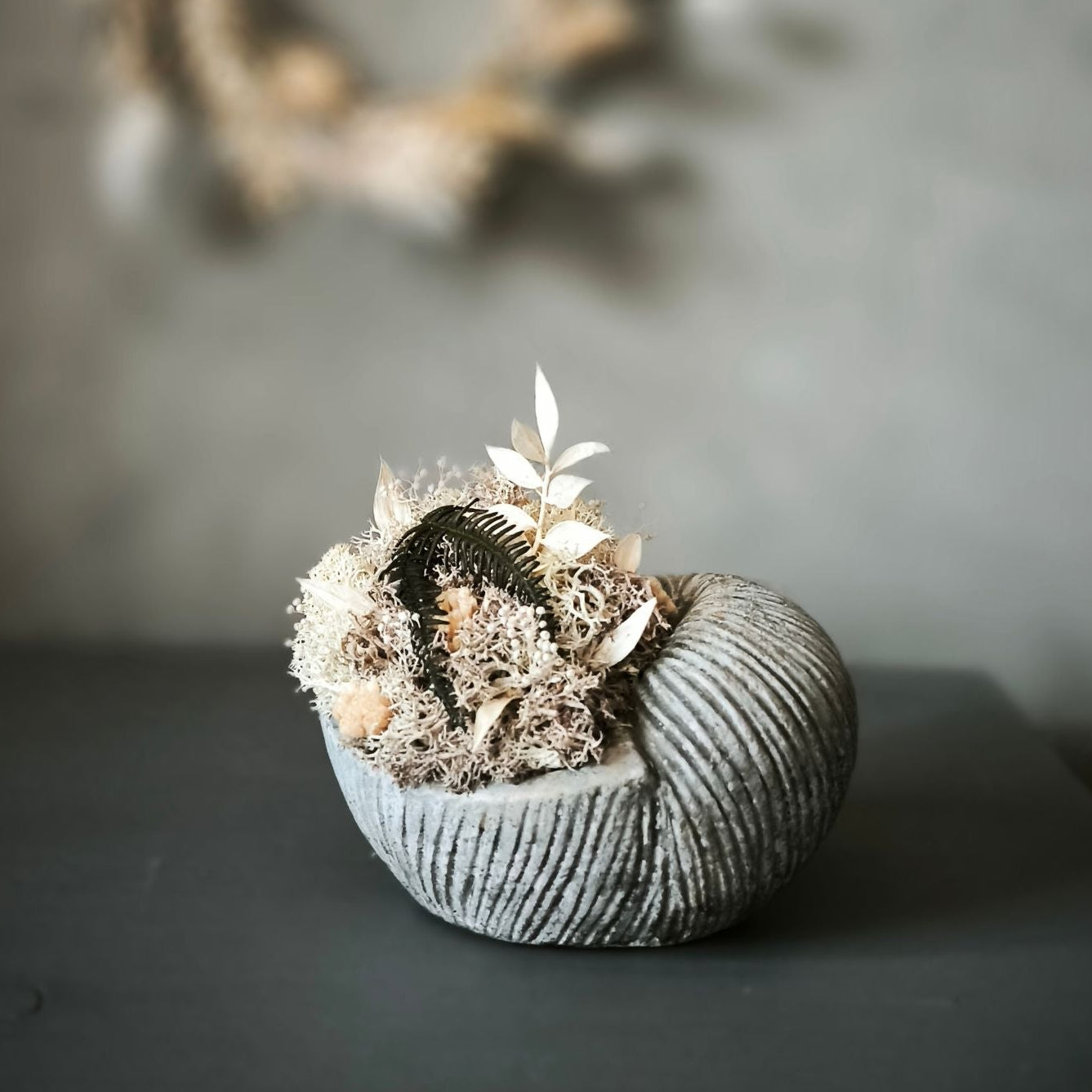Shell Whisper Betongefäß in Muschelform mit Trockenblumen Titelbild