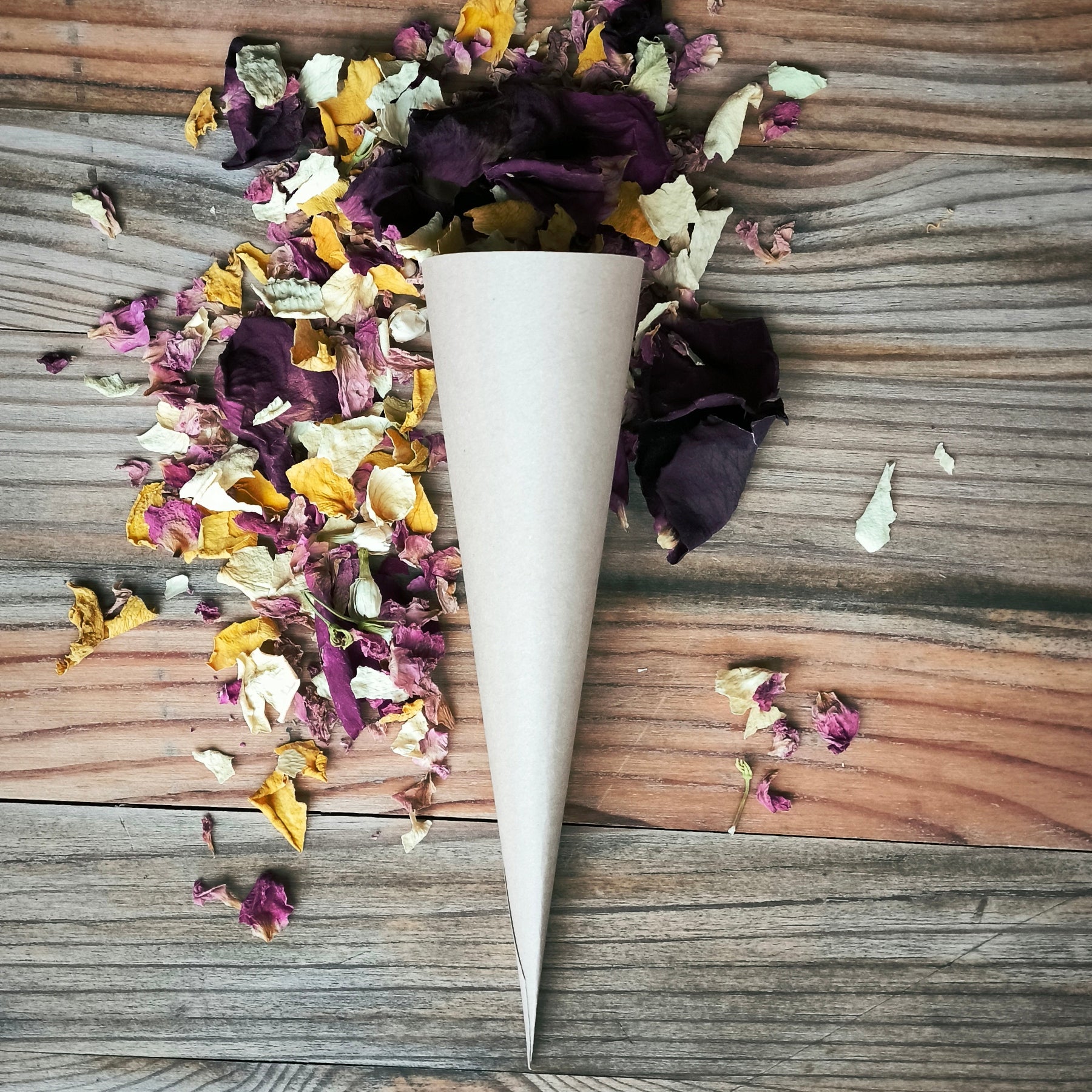 Blütenkonfetti Lively Cassis in Cones kein Sticker