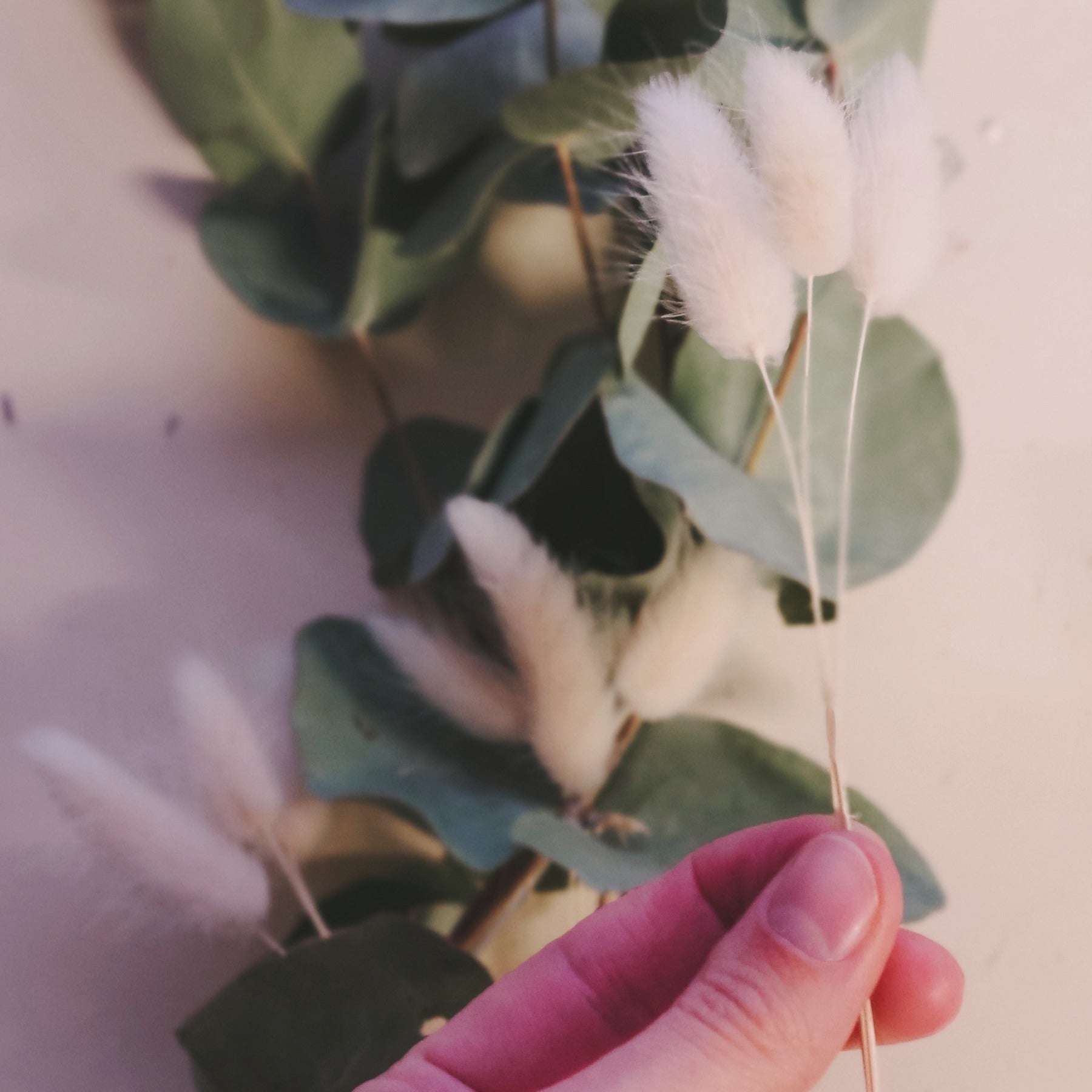 Lagurus weiß mit Eukalyptus