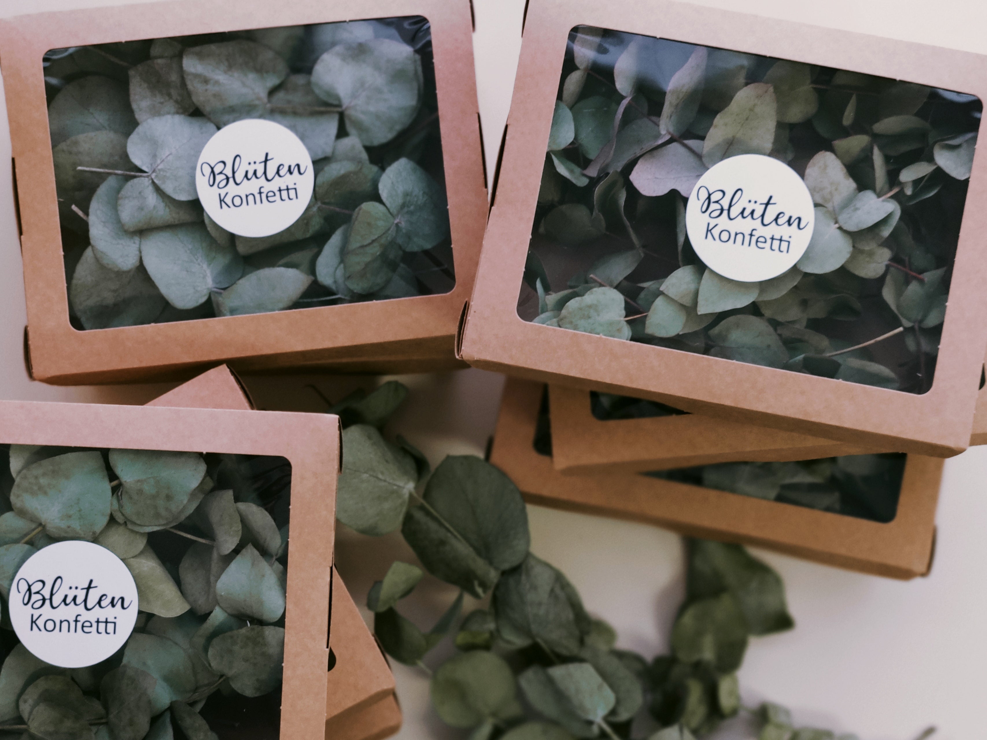 10 Stück Mini-Zweige getrockneter Eukalyptus Cinerea in einer Box aus Kraftpapier mit Original Blütenkonfetti Aufkleber