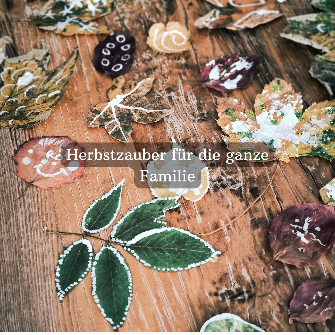 Herbstzauber mit bunten Blättern