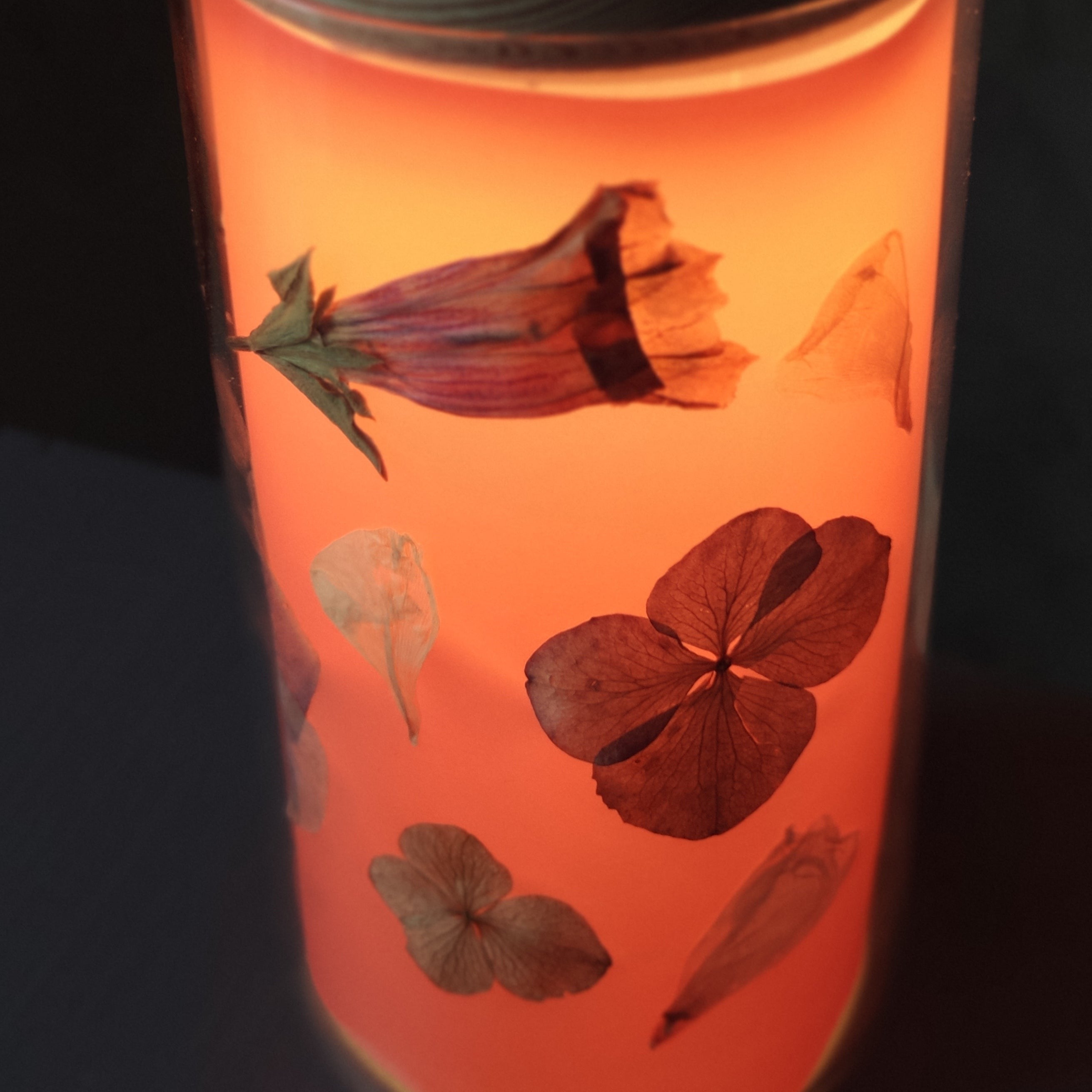 LED-Glas mit Transparentpapier und gepressten Blüten rot