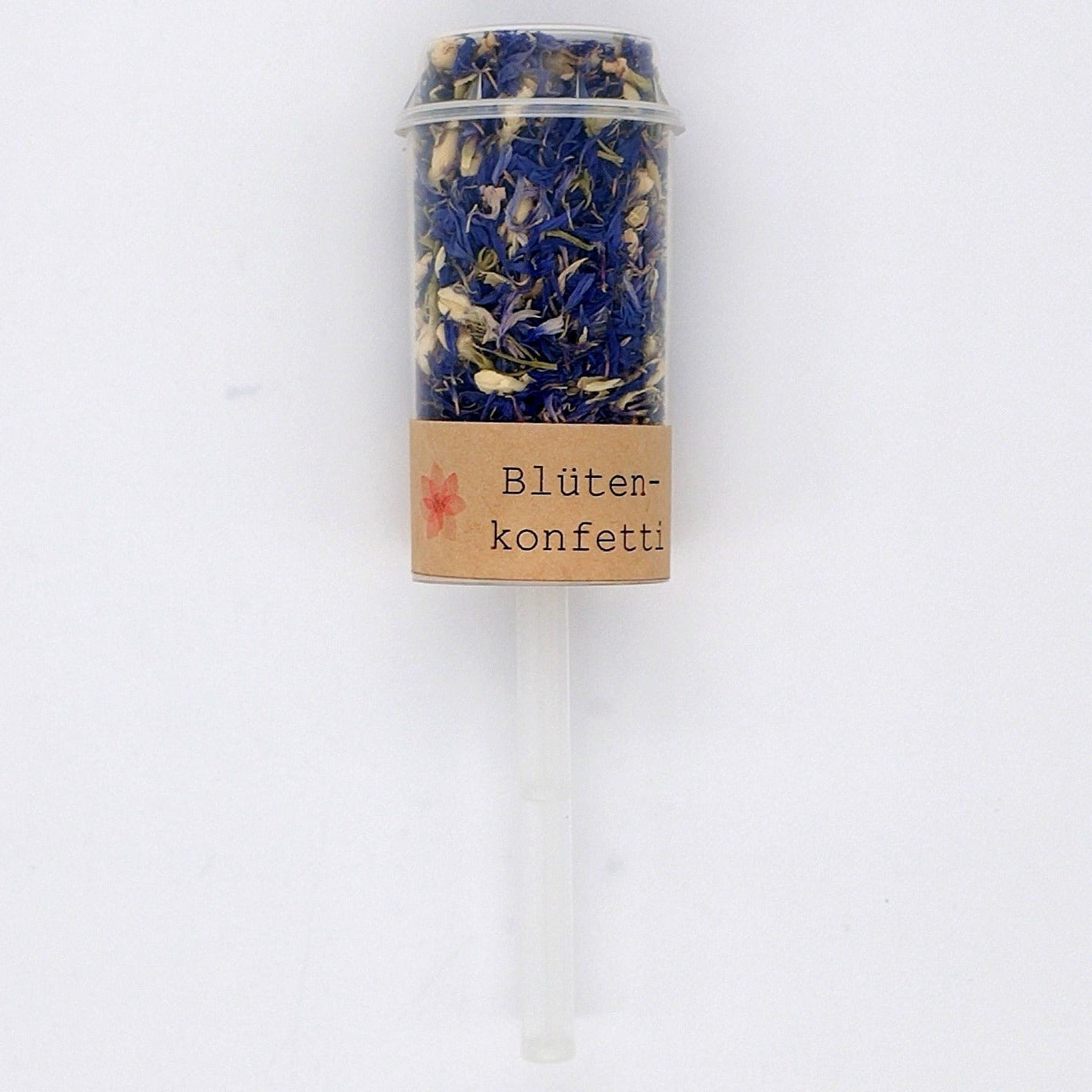 Konfetti-Popper-Blue Ivory-Blume