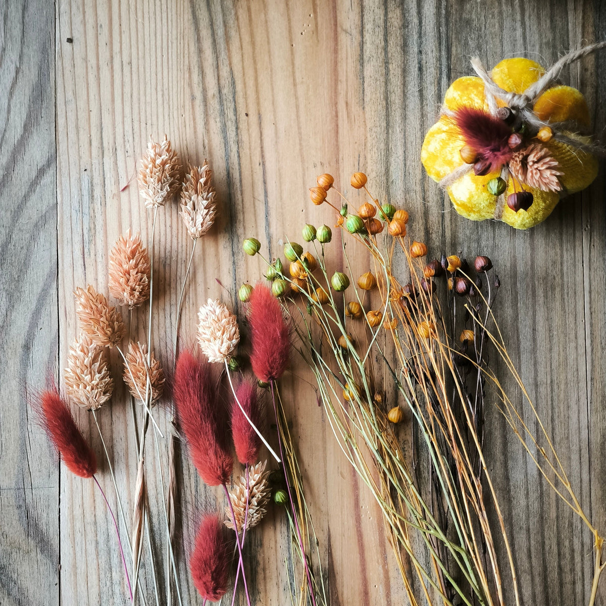DIY Samtkürbis Trockenblumen