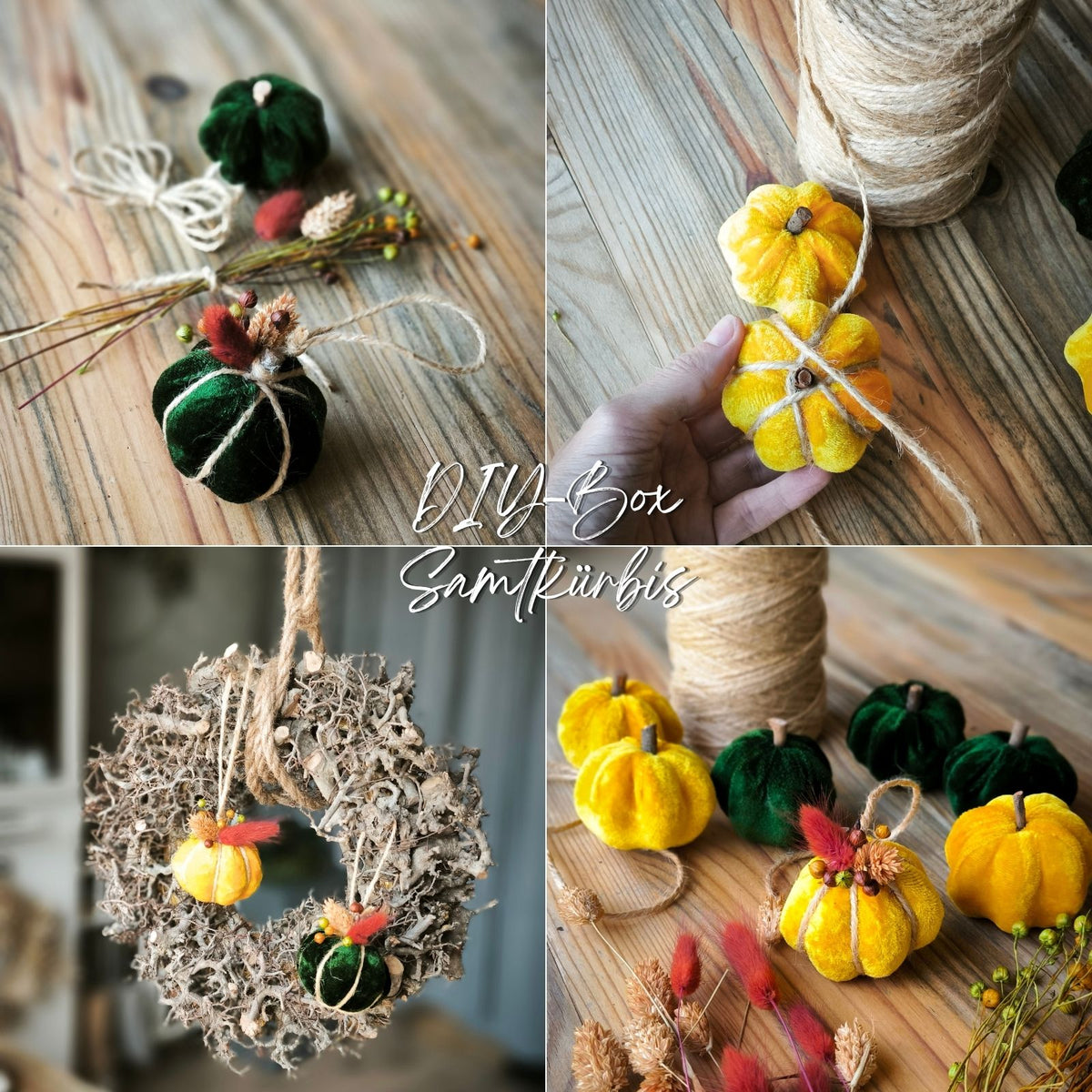 DIY Samtkürbis Titelbild