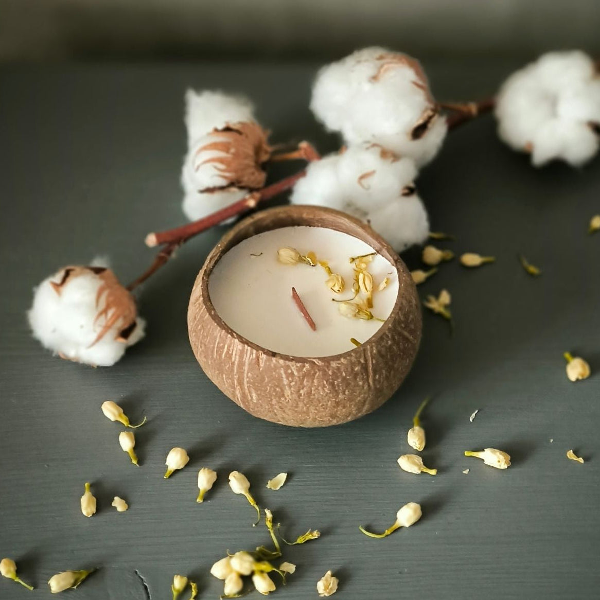 Lumininie Kerze Cotton Flower Nahaufnahme