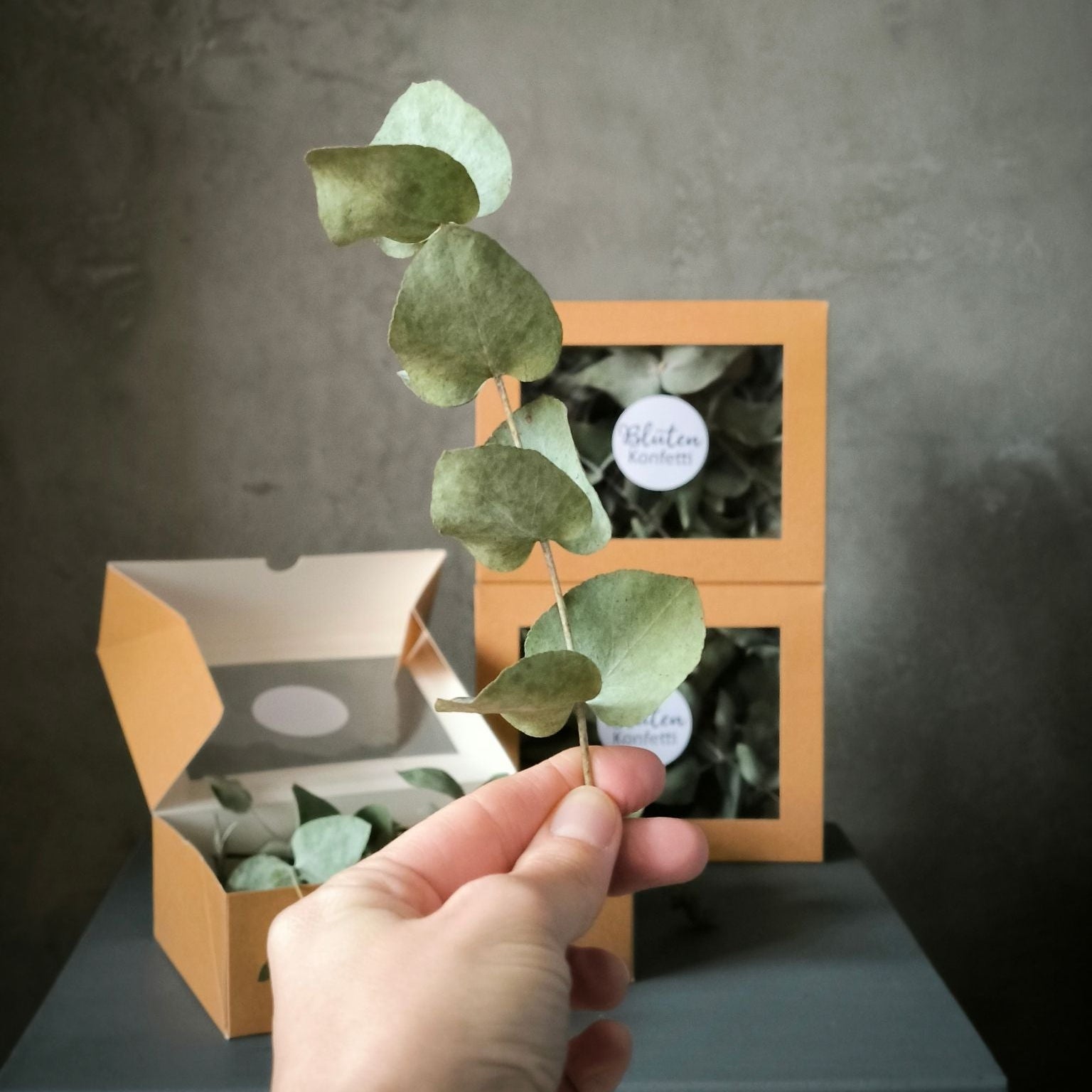 Mini-Zweige Eukalyptus Lifestylebild 1