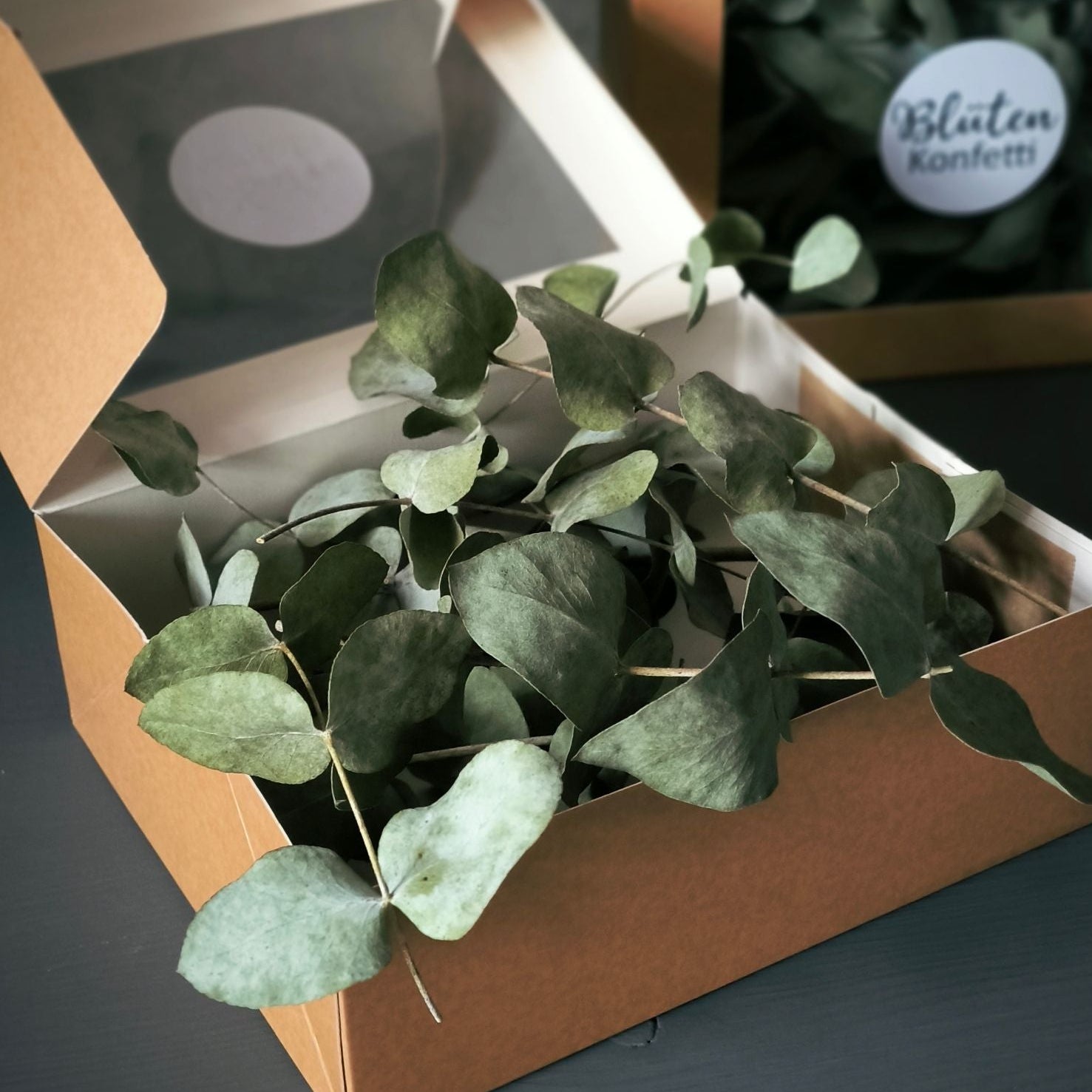 Mini-Zweige Eukalyptus Nahaufnahme