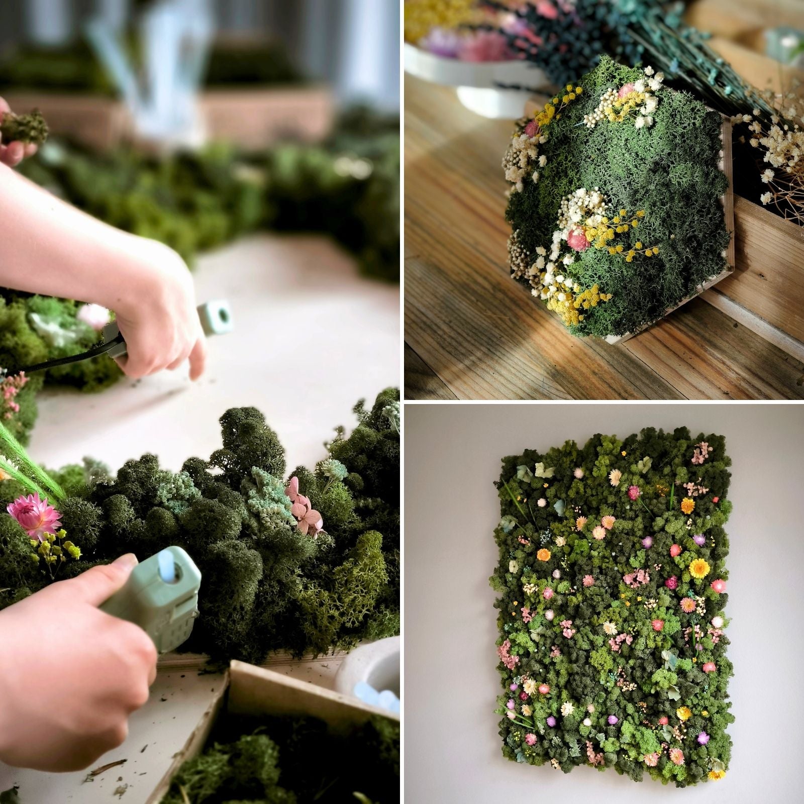 Individuelles Moosbild mit Trockenblumen gestalten – Zeitgeschenk-Workshop für Gruppen (auf Anfrage)